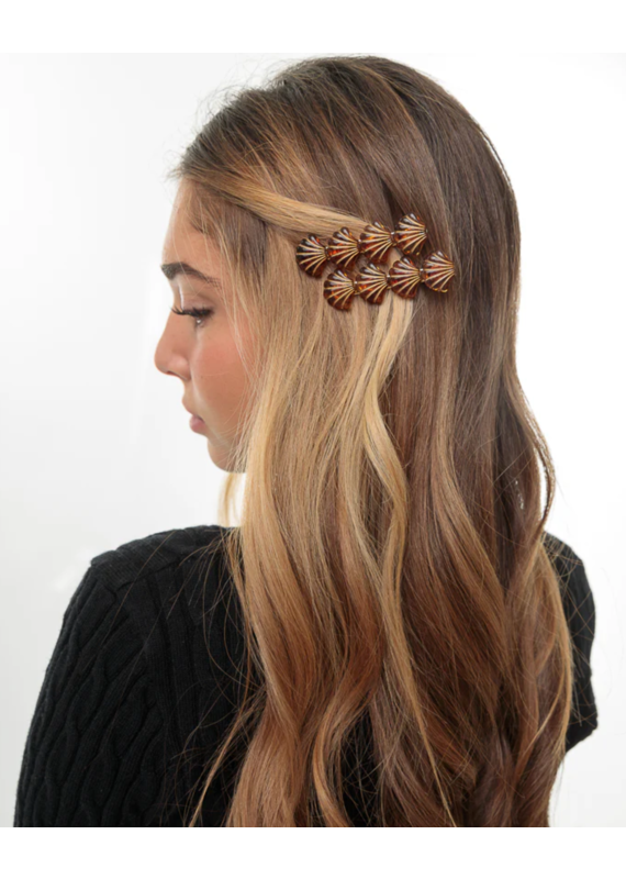 LimLim Sea Shell Pin Collection