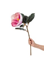 Abbott Magnolia Bloom-Pink-31"L