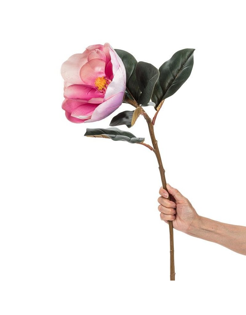 Abbott Magnolia Bloom-Pink-31"L