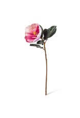 Abbott Magnolia Bloom-Pink-31"L