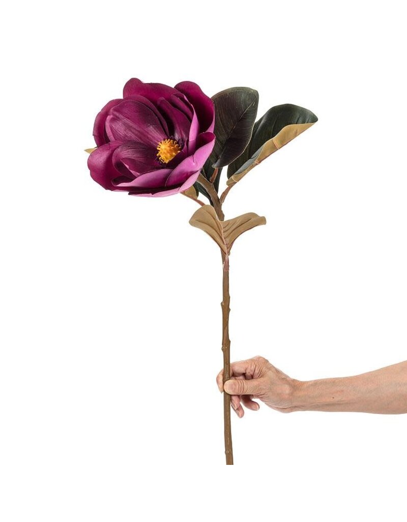 Abbott Magnolia Bloom-Purple-31"L