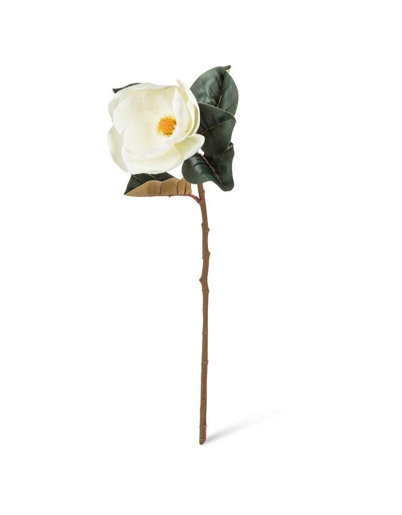 Abbott Magnolia Bloom-White-31"L
