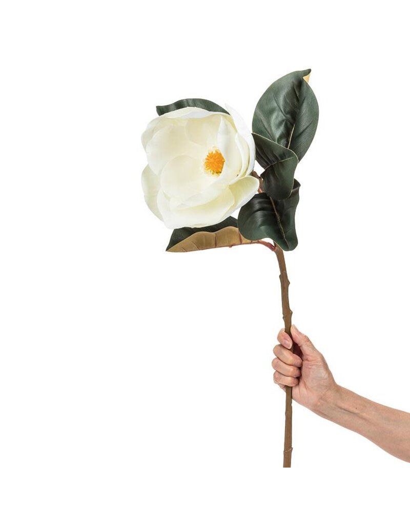 Abbott Magnolia Bloom-White-31"L
