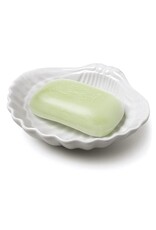 Abbott Small Shell Trinket/Soap Dish-5"W