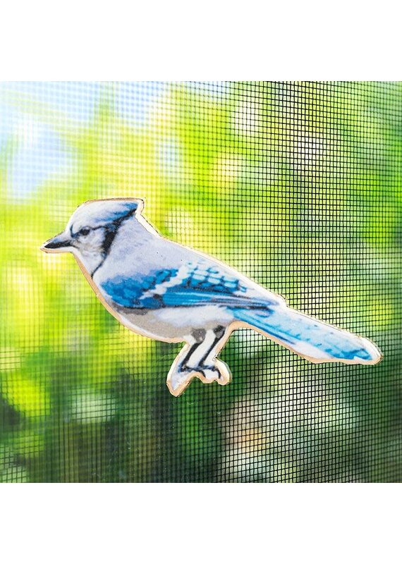 Abbott Blue Jay Two-Sided Magnet