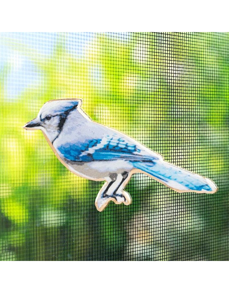 Abbott Blue Jay Two-Sided Magnet
