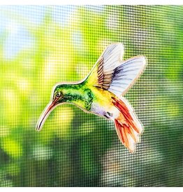Abbott Hummingbird Two-Sided Magnet
