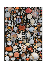 Autruche FLOTSAM PUZZLE, 1000 PCS