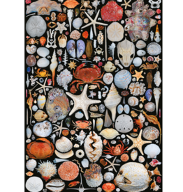 Autruche FLOTSAM PUZZLE, 1000 PCS