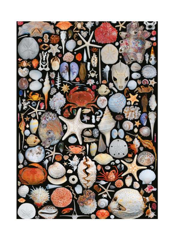 Autruche FLOTSAM PUZZLE, 1000 PCS