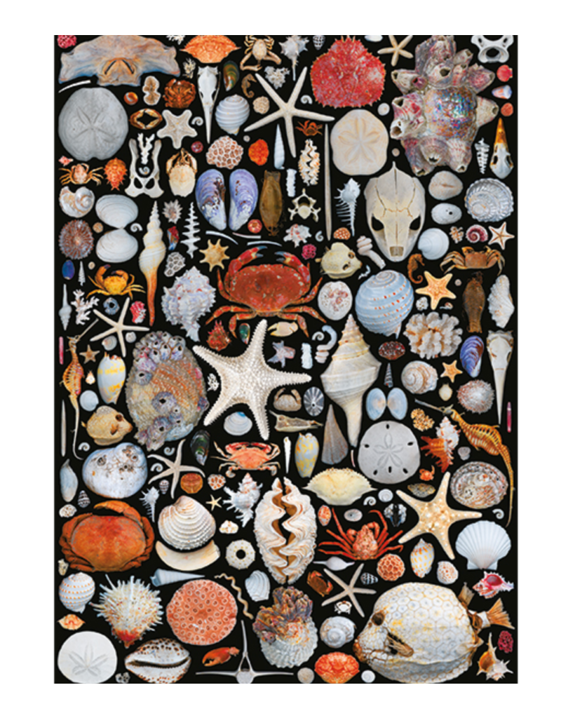FLOTSAM PUZZLE, 1000 PCS