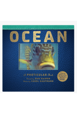 Hachette Ocean-A Photicular Book