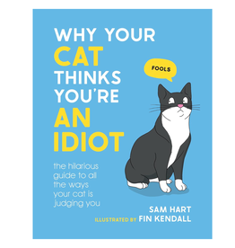 Hachette Why Your Cat Thinks You're an Idiot