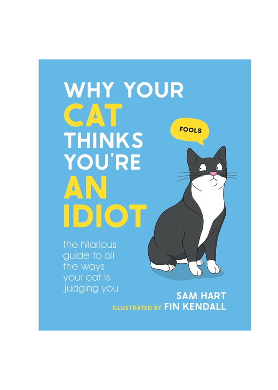 Hachette Why Your Cat Thinks You're an Idiot