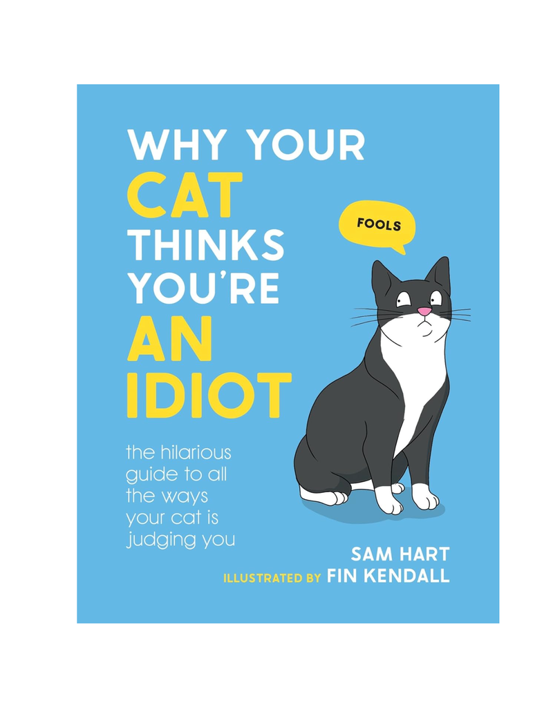 Hachette Why Your Cat Thinks You're an Idiot
