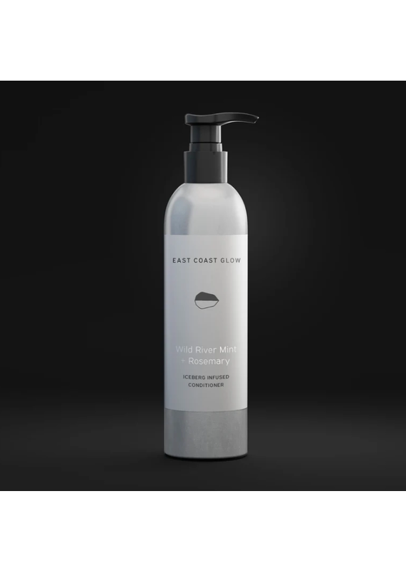 East Coast Glow Wild River Mint + Rosemary Iceberg Infused Hair Conditioner