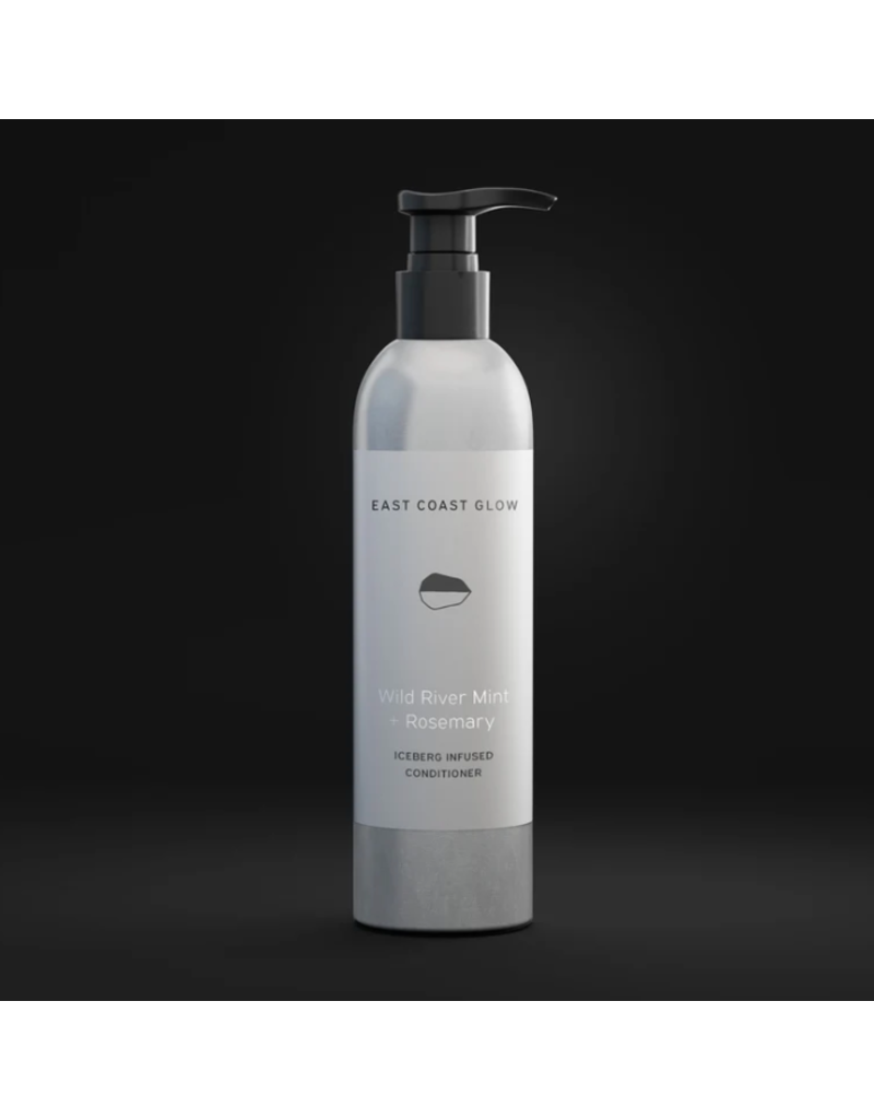 East Coast Glow Wild River Mint + Rosemary Iceberg Infused Hair Conditioner