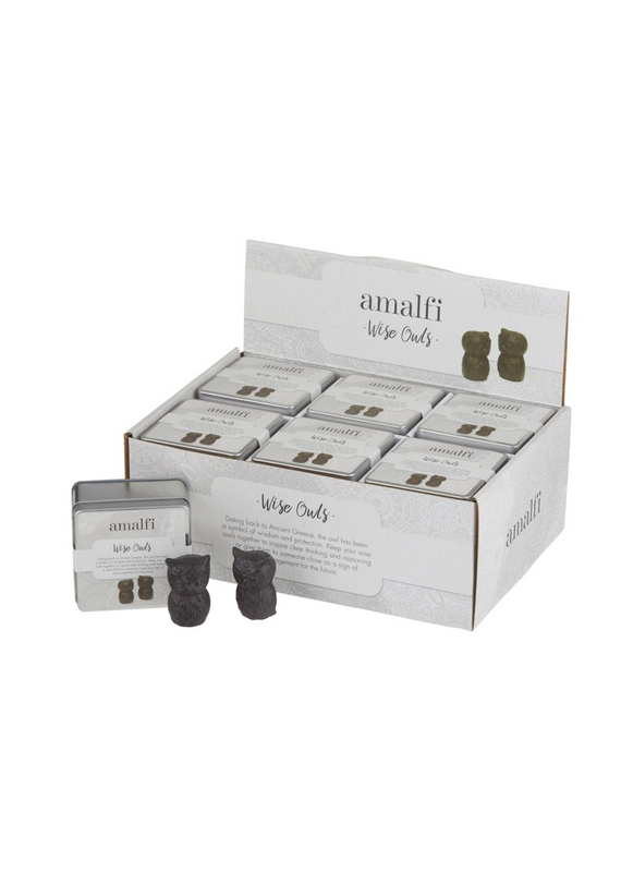 David Shaw Wise Owls Set/2