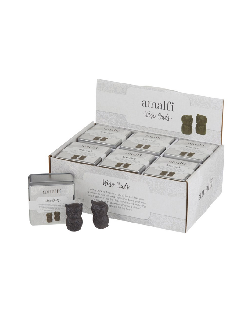 David Shaw Wise Owls Set/2