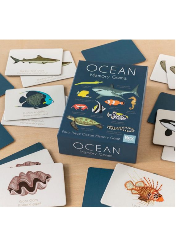 Rex London ocean memory game