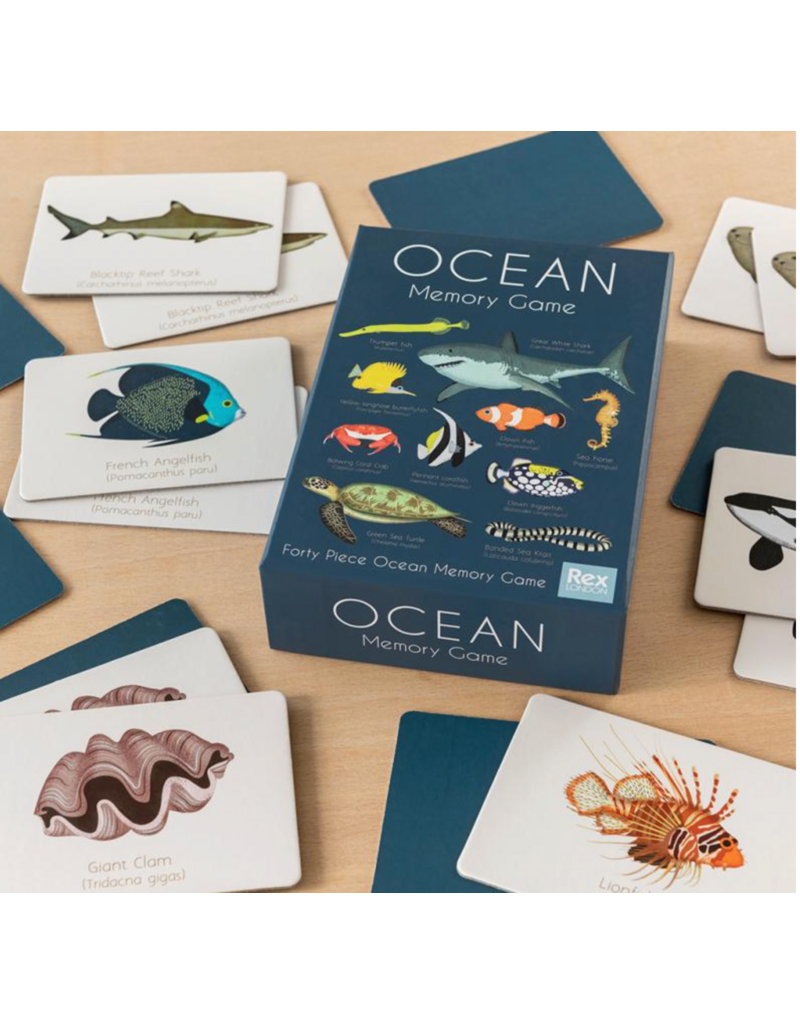 Rex London ocean memory game