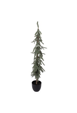 Harman Slim Fir Potted Tree