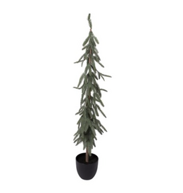 Harman Slim Fir Potted Tree