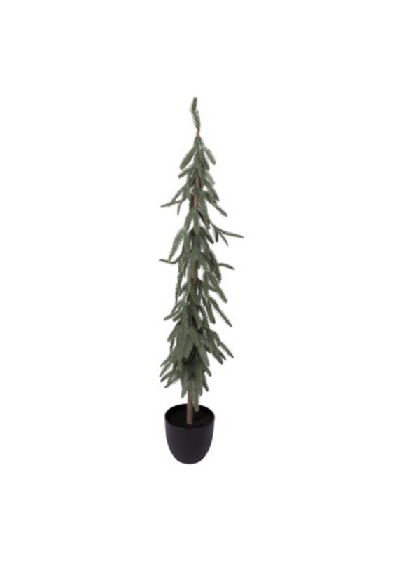 Harman Slim Fir Potted Tree