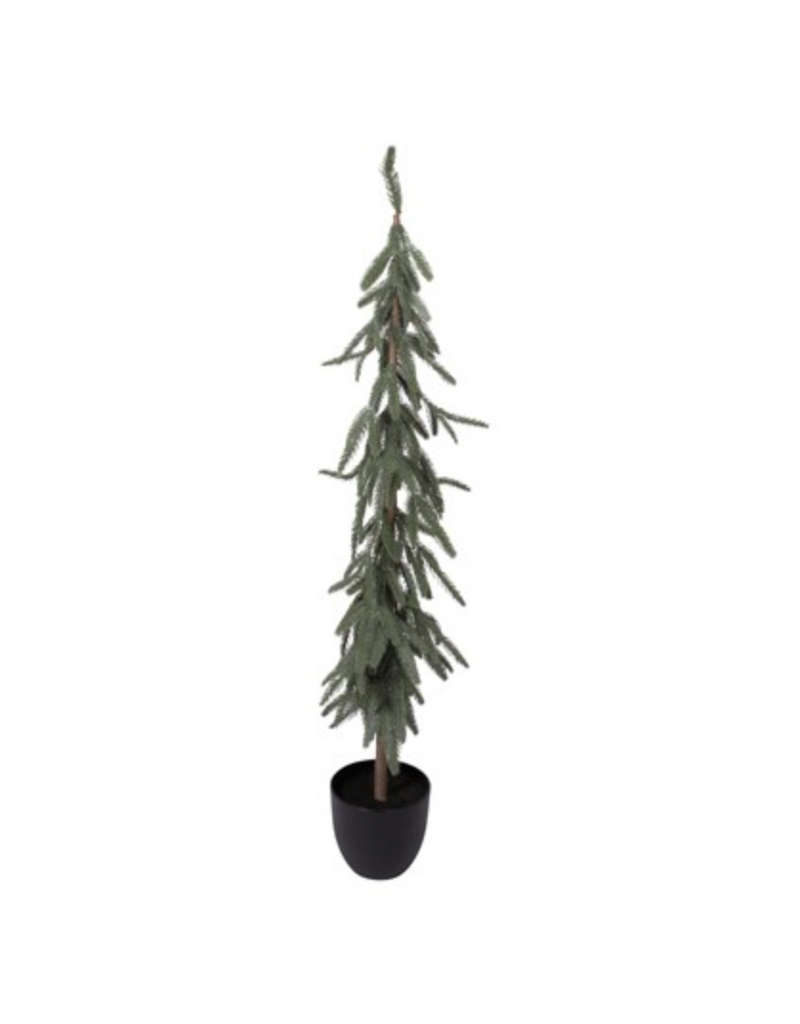 Harman Slim Fir Potted Tree