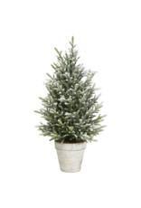 Harman Snow Fern Tree