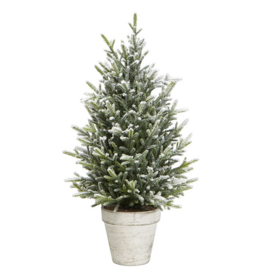 Harman Snow Fern Tree