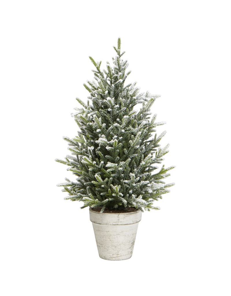 Harman Snow Fern Tree