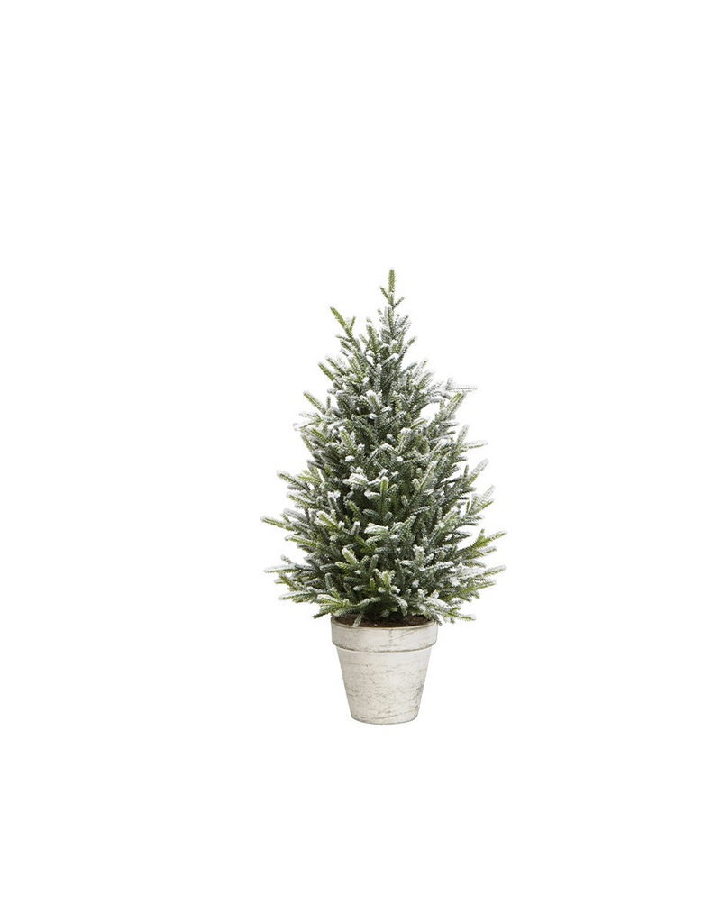 Harman Snow Fern Tree