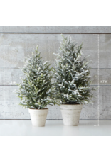 Harman Snow Fern Tree