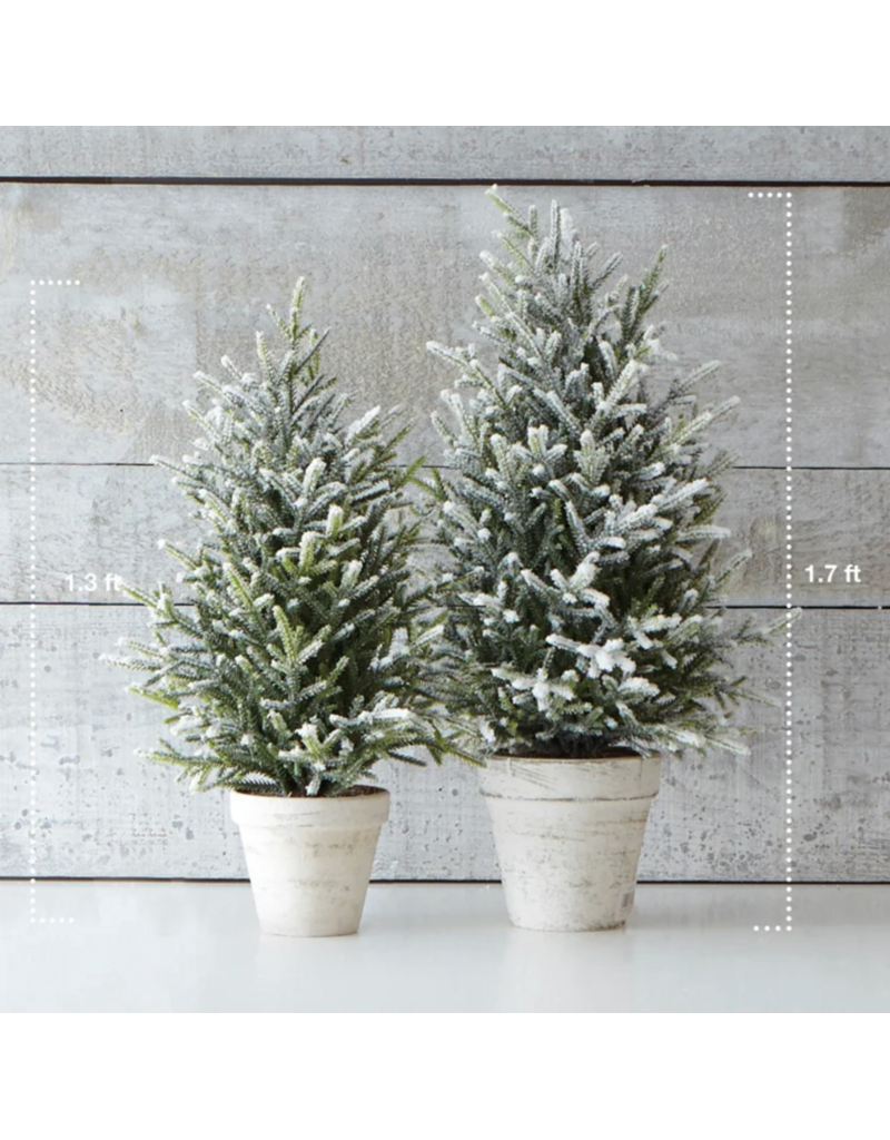 Harman Snow Fern Tree