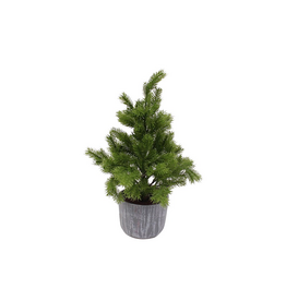 Harman Wispy Fern Décor Tree