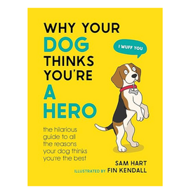 Hachette Why Your Dog Thinks You're an Hero