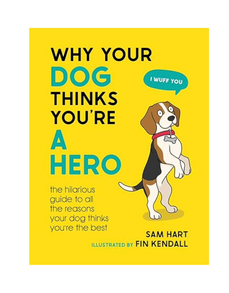 Hachette Why Your Dog Thinks You're an Hero
