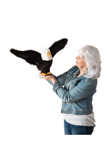 Folkmanis Puppets Eagle