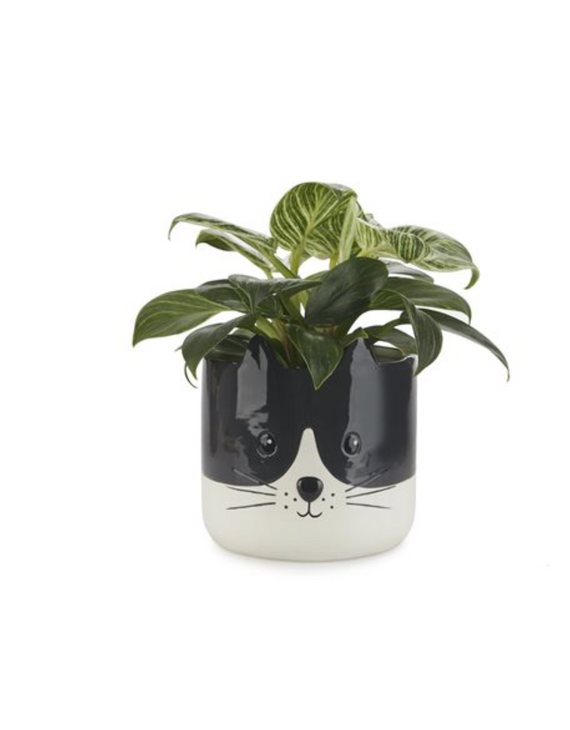 Jabco Canada Inc Kitty Flower Pot