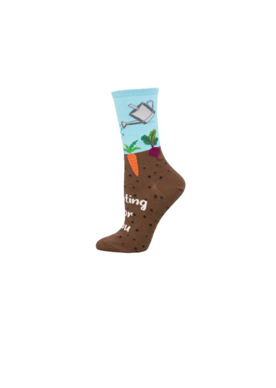 Socksmith Canada Inc Rooting for You-Womens/5-10.5