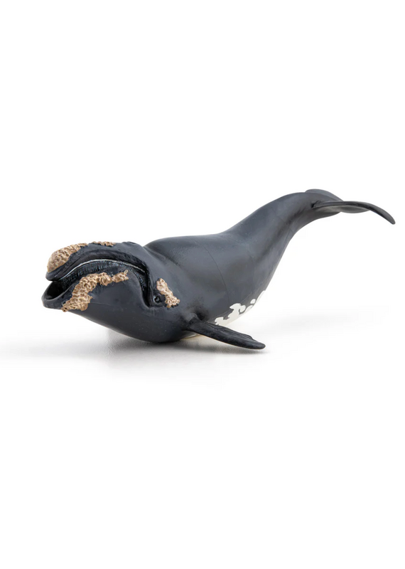 Papo Right Whale