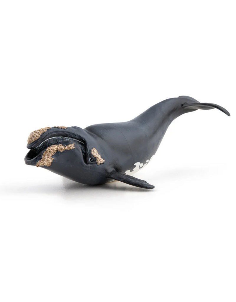 Papo Right Whale