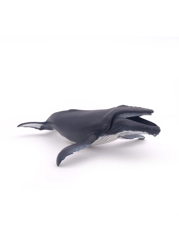 Papo Humpback Whale