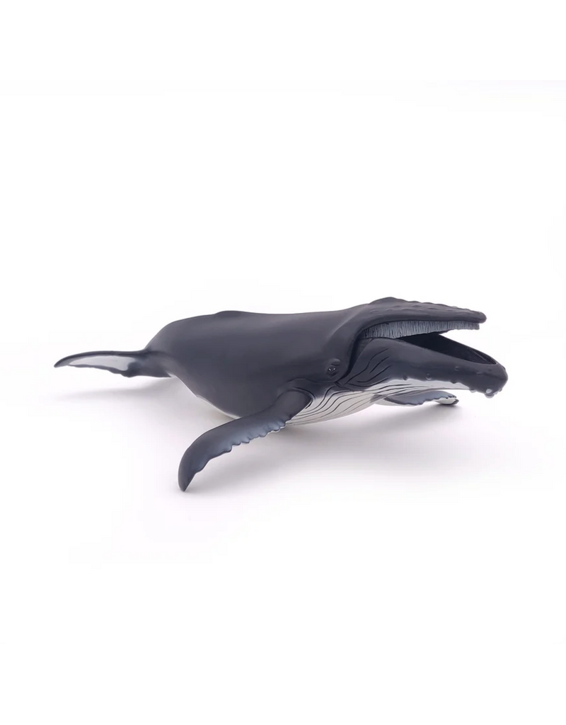 Papo Humpback Whale