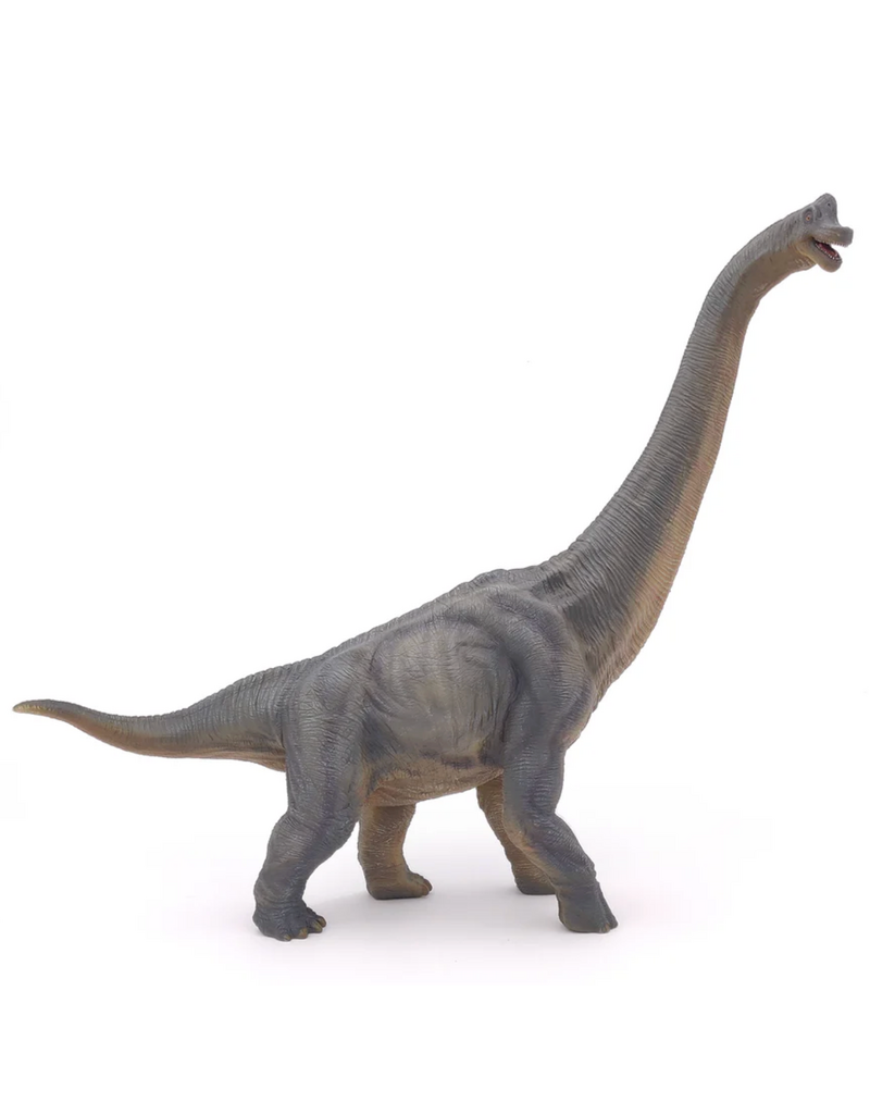Papo Brachiosaurus