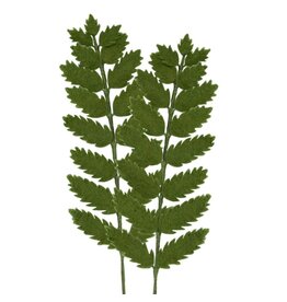 MODWOOL Felt Floral Fern Stem 2 Piece Bouquet-Dark Green-22"