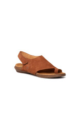 El Naturalista Wakataua/N5559-Cuero