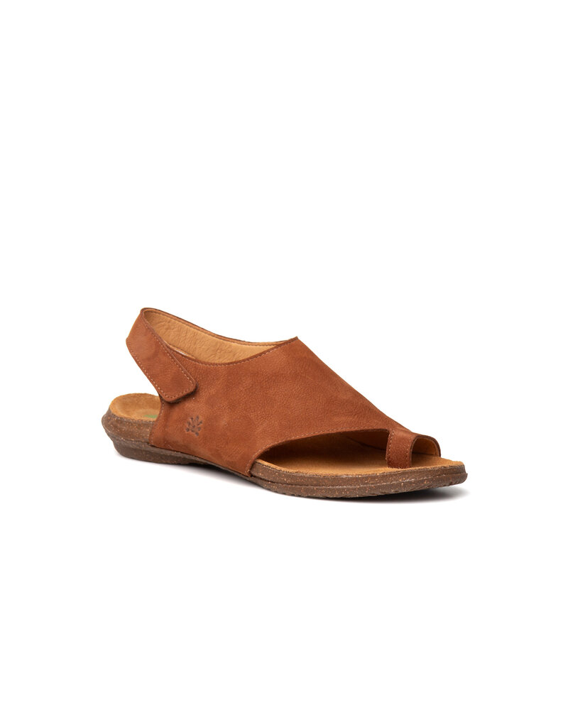 El Naturalista Wakataua/N5559-Cuero