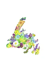 Sarah Duggan NL Wild Greeting Card